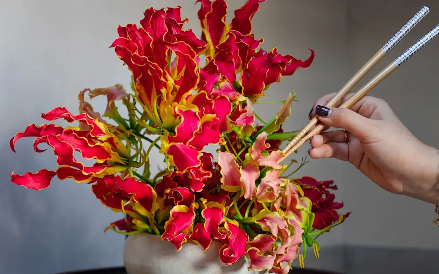 gloriosa,rood,24 (2)