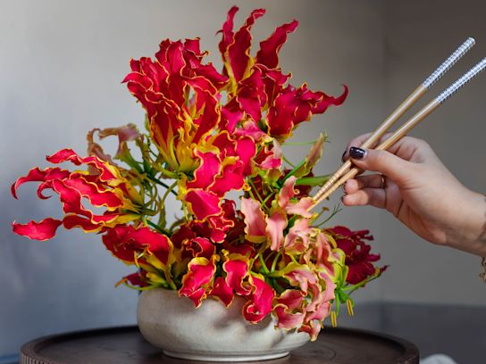 gloriosa,rood,24 (2)