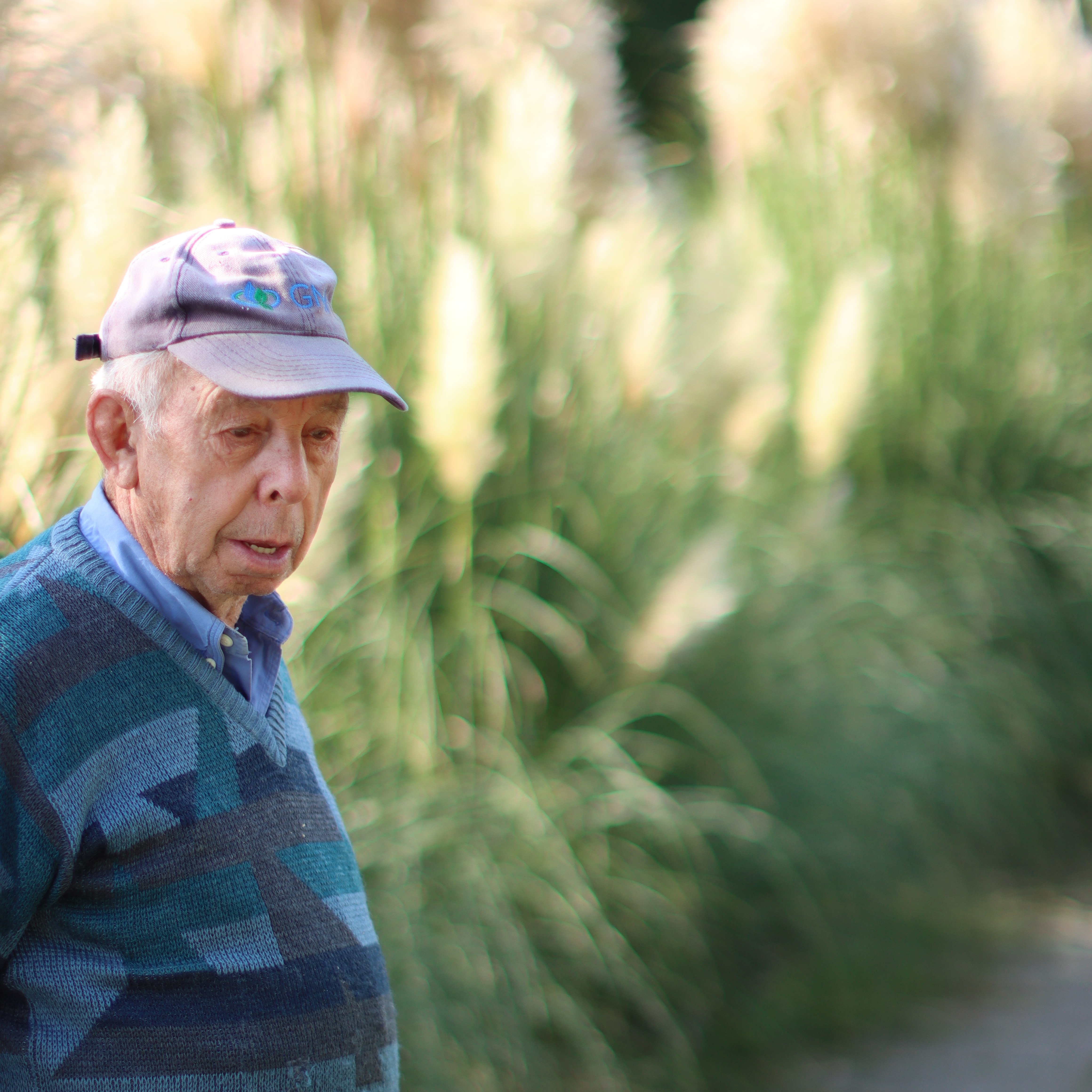 cortaderia,beige,21 (17)