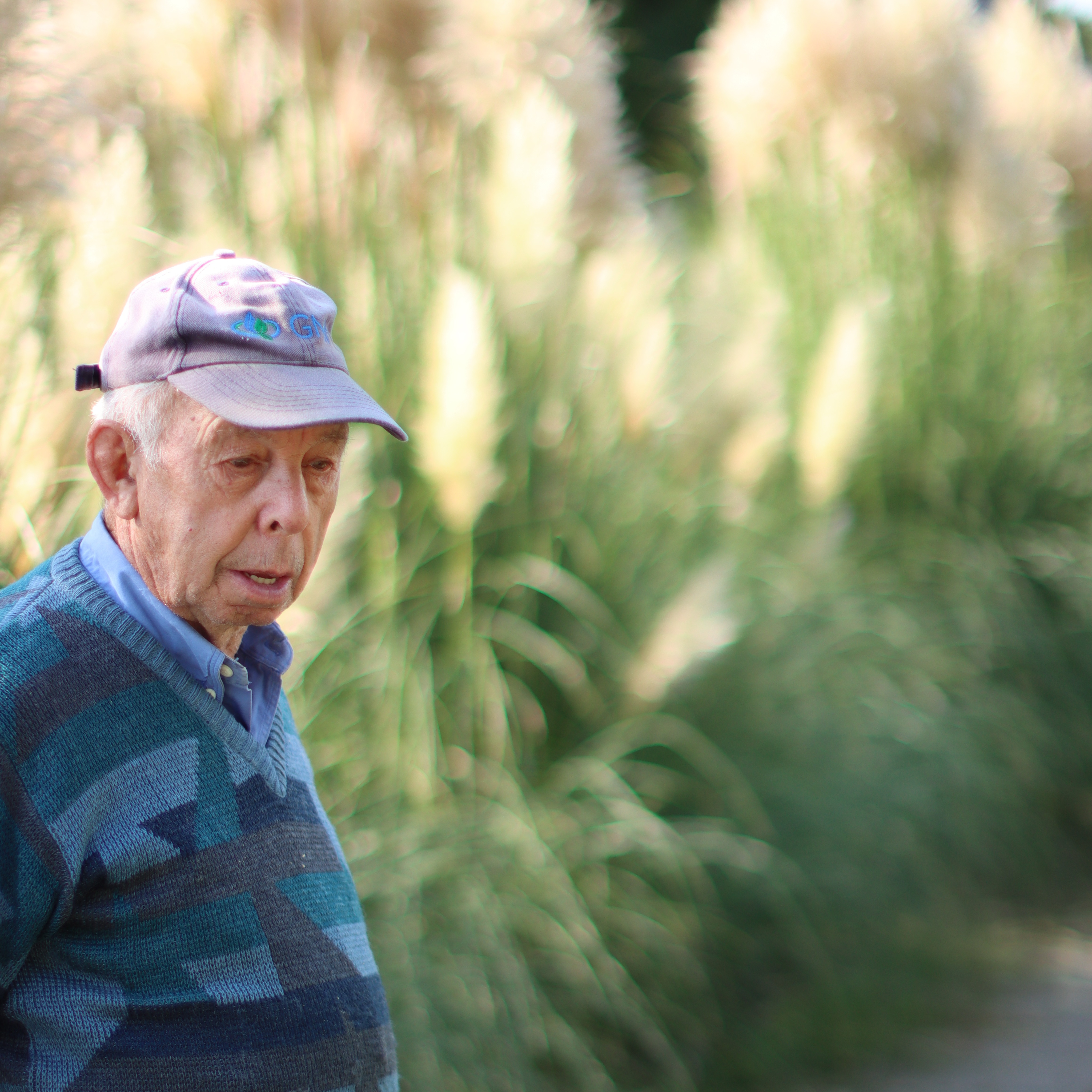 cortaderia,beige,21 (17)