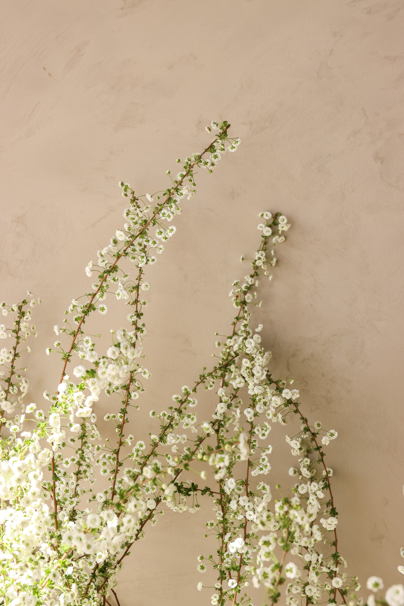 medewerkers,future,2024