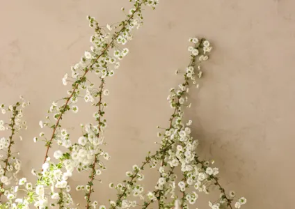 medewerkers,future,2024