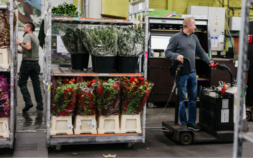 Bloemengroothandel Greenflor Aalsmeer (3)