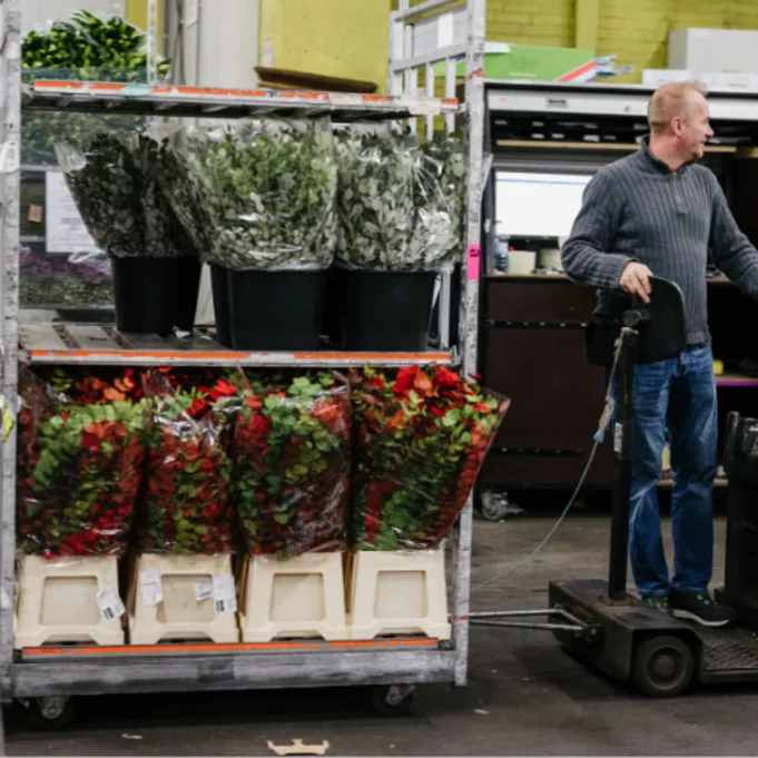 Bloemengroothandel Greenflor Aalsmeer (3)