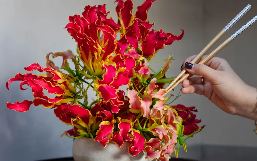 gloriosa,rood,24 (2)
