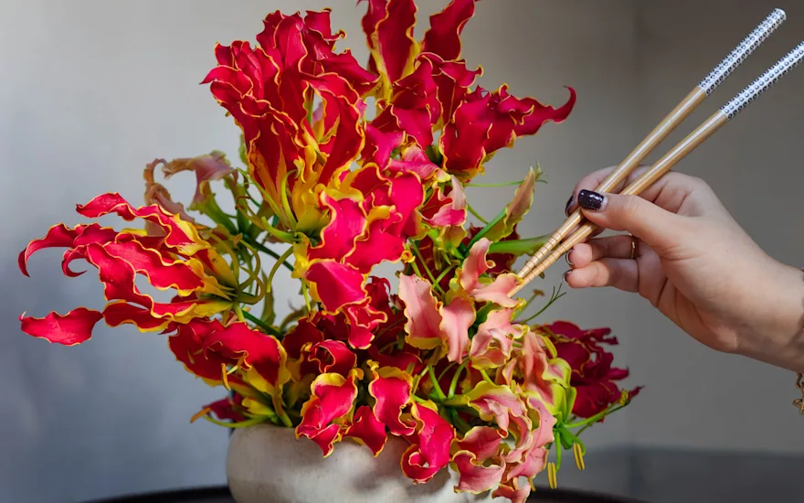 gloriosa,rood,24 (2)