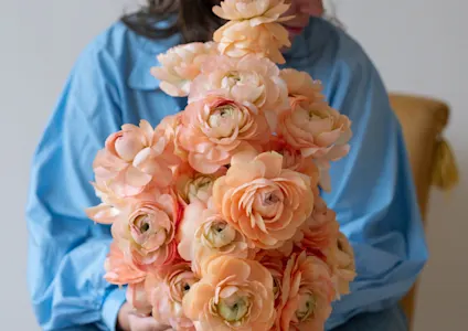 ranonkel,oranje,24 (1)