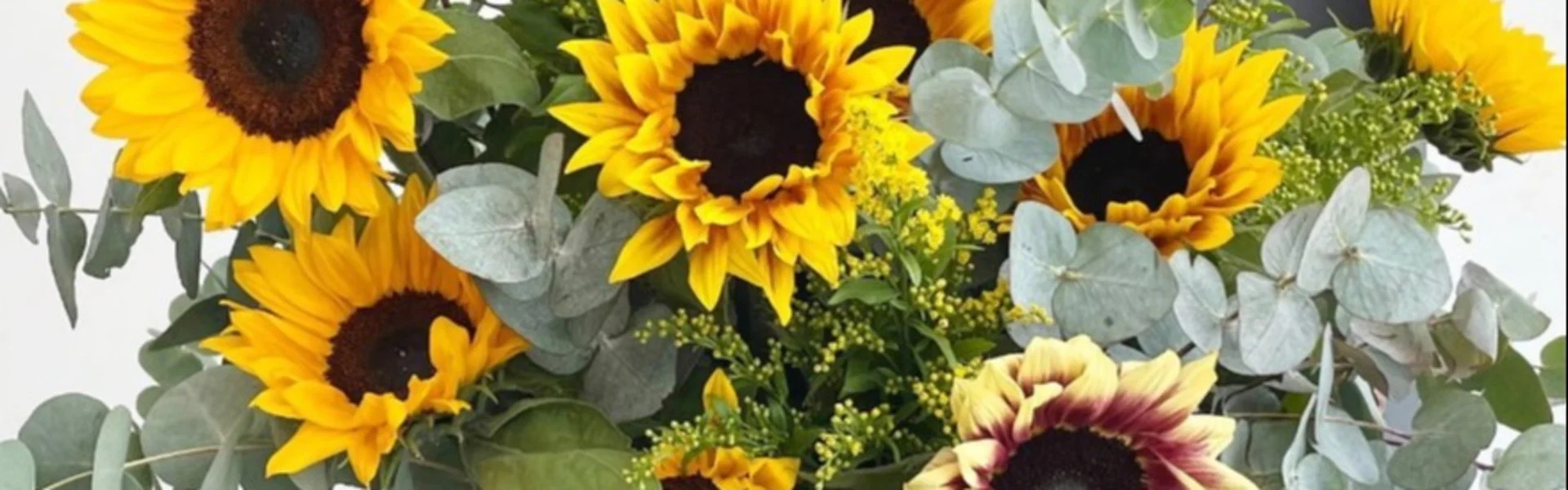 Bloementrends in bloei