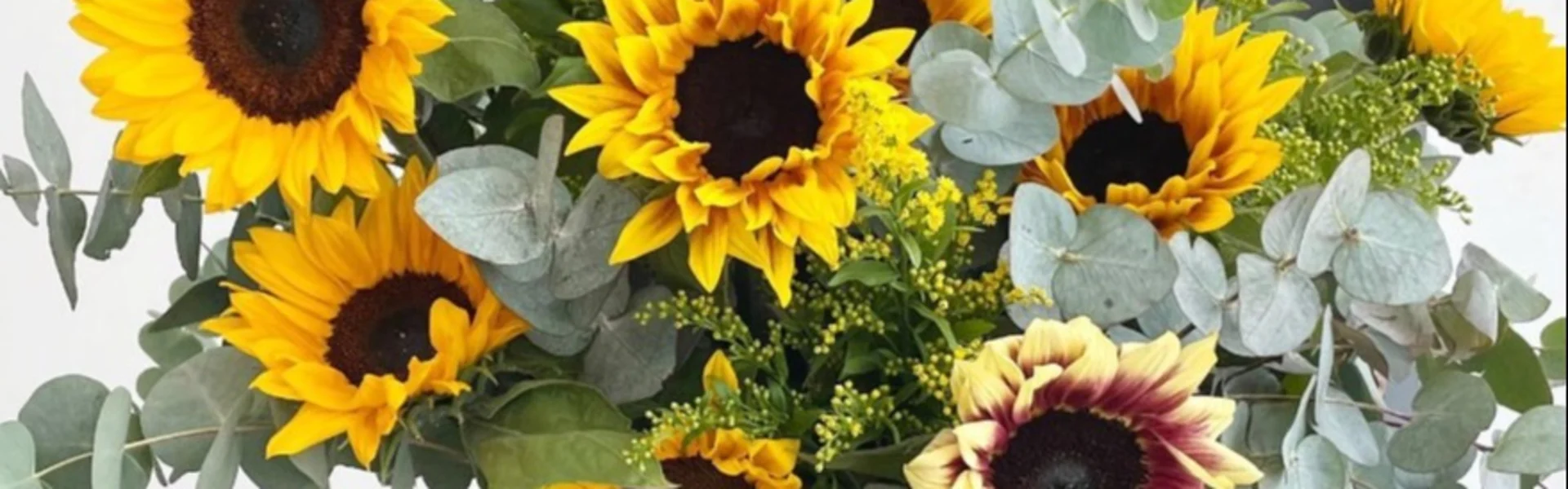 Flower trends in bloom