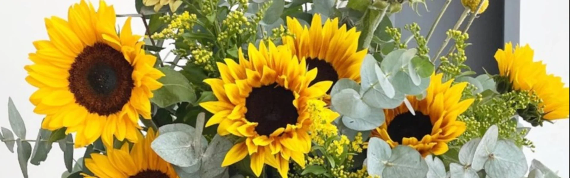 flower trends in bloom
