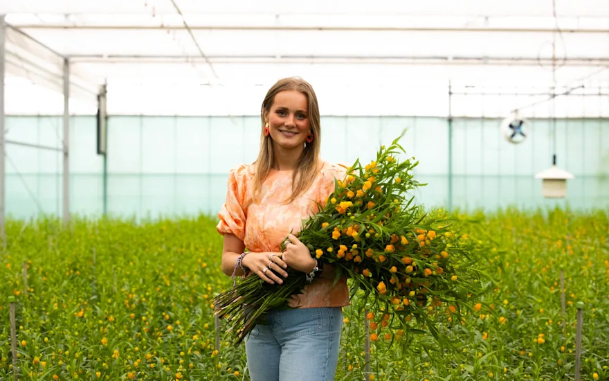 sandersonia,oranje,24 (13)