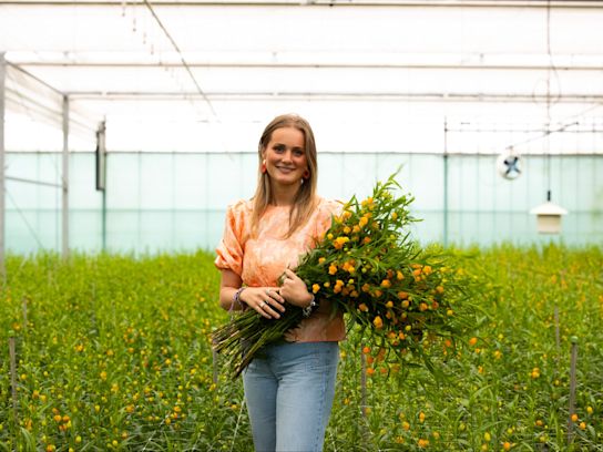 sandersonia,oranje,24 (13)