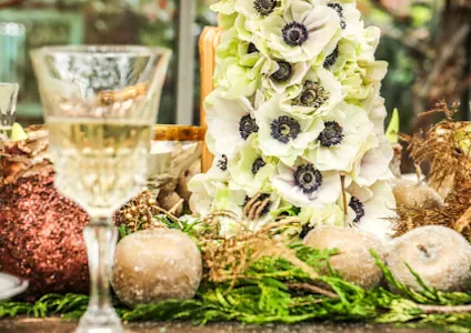 anemonen,kerst,wit,25