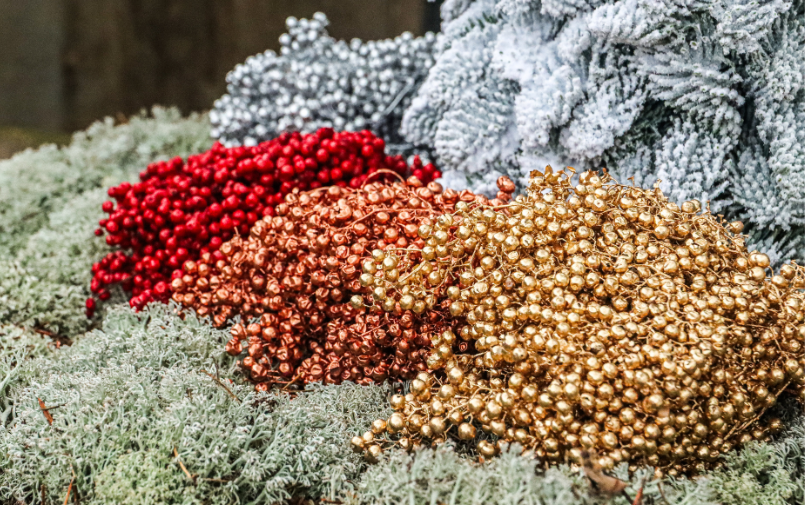 schinus,kerstshoot,2025