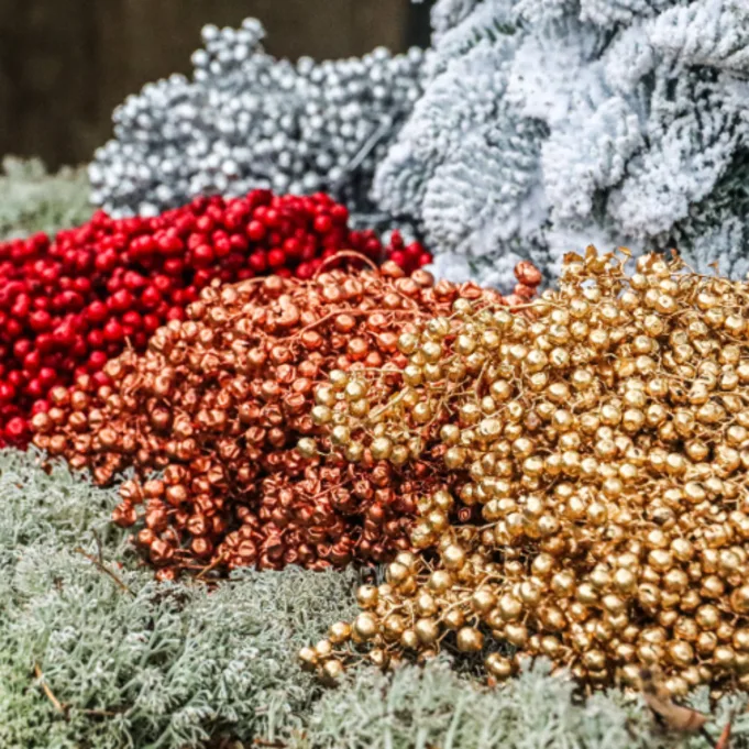 schinus,kerstshoot,2025