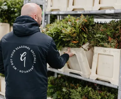 bloemenexporteur voor de duitse groothandel