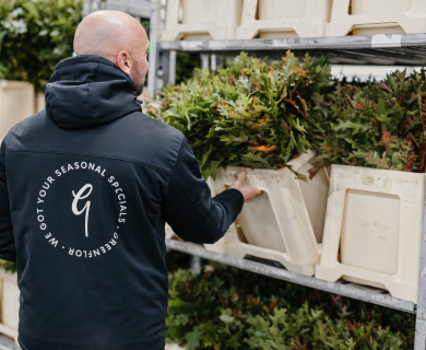 exportateur de fleurs pour le commerce de gros allemand