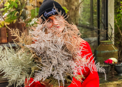 aspragus,kerstshoot,2025