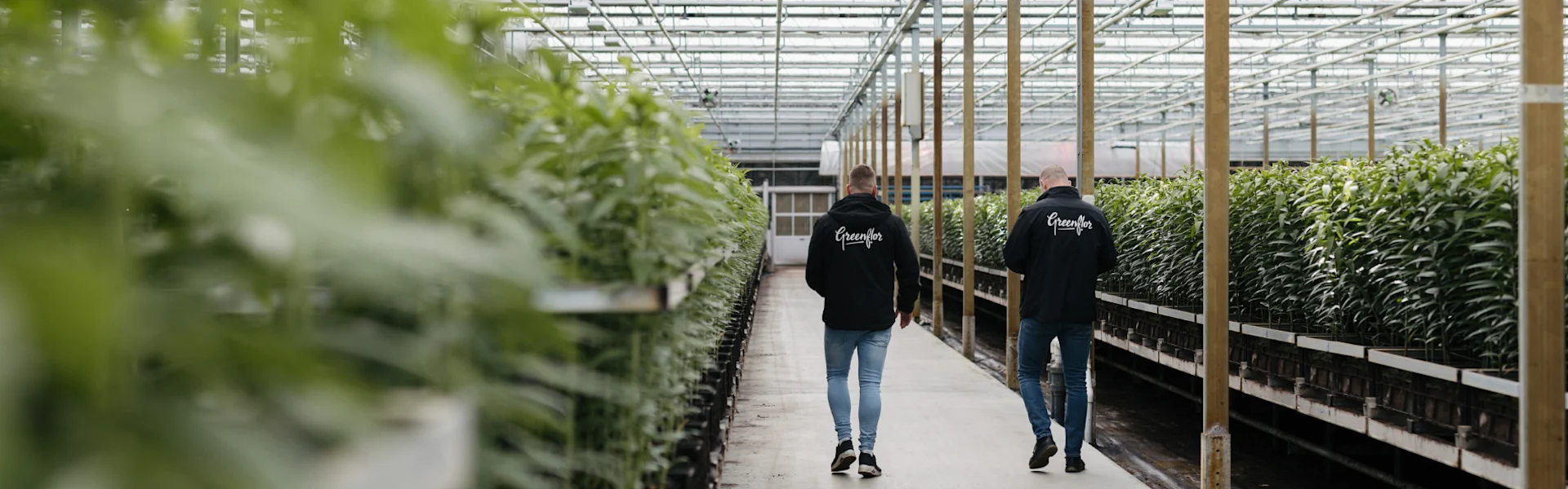 Greenflor familie