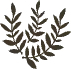 Icon,blad,1