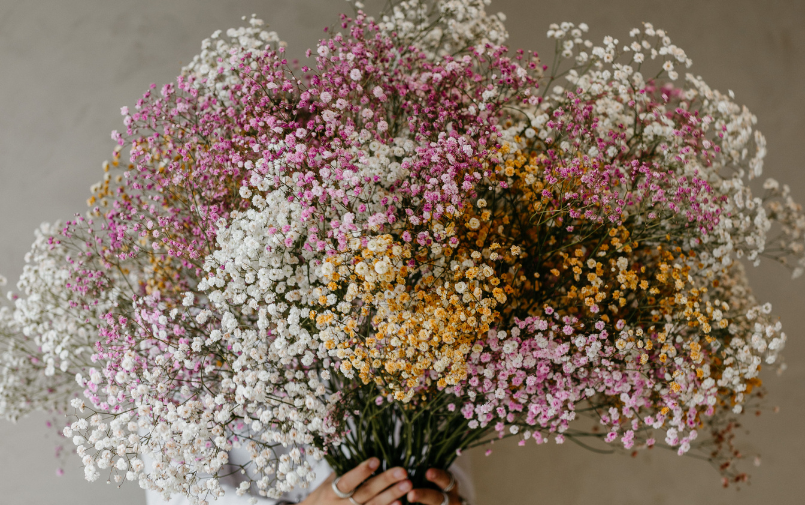 gyps,wedding,25