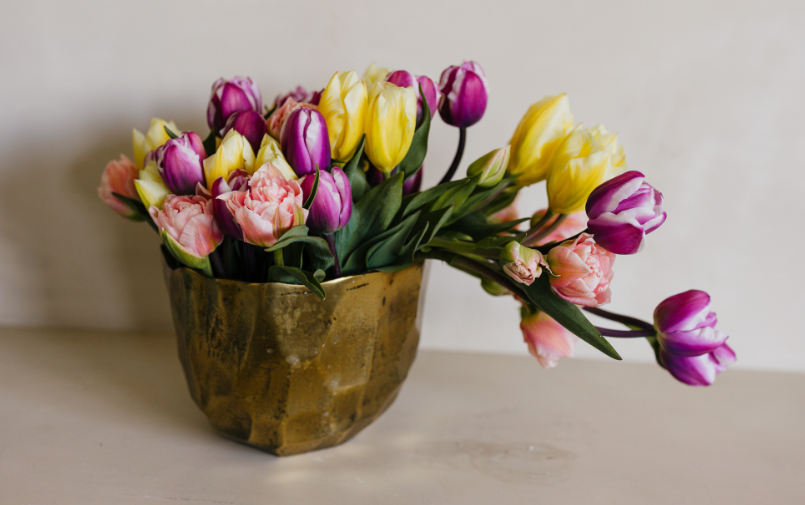 Tulpen bloemengroothandel Greenflor