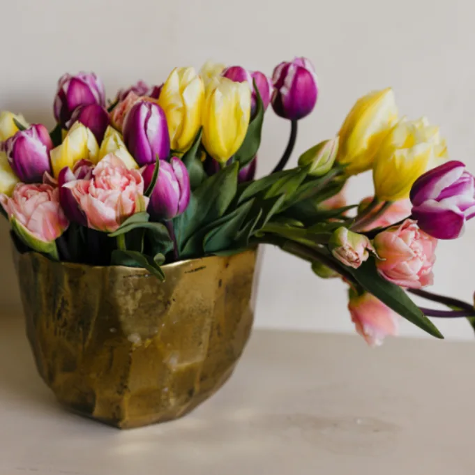 Tulpen bloemengroothandel Greenflor