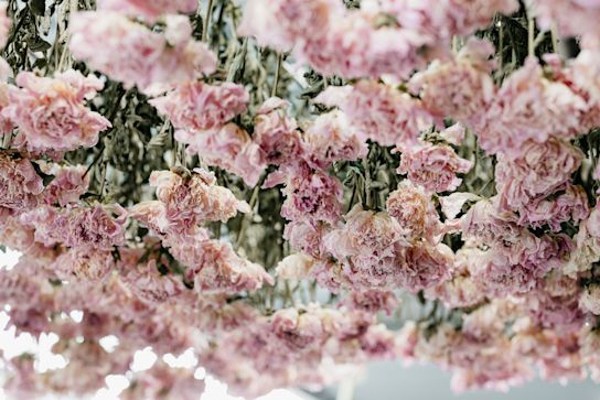 droogbloemen,roze,21 (1)