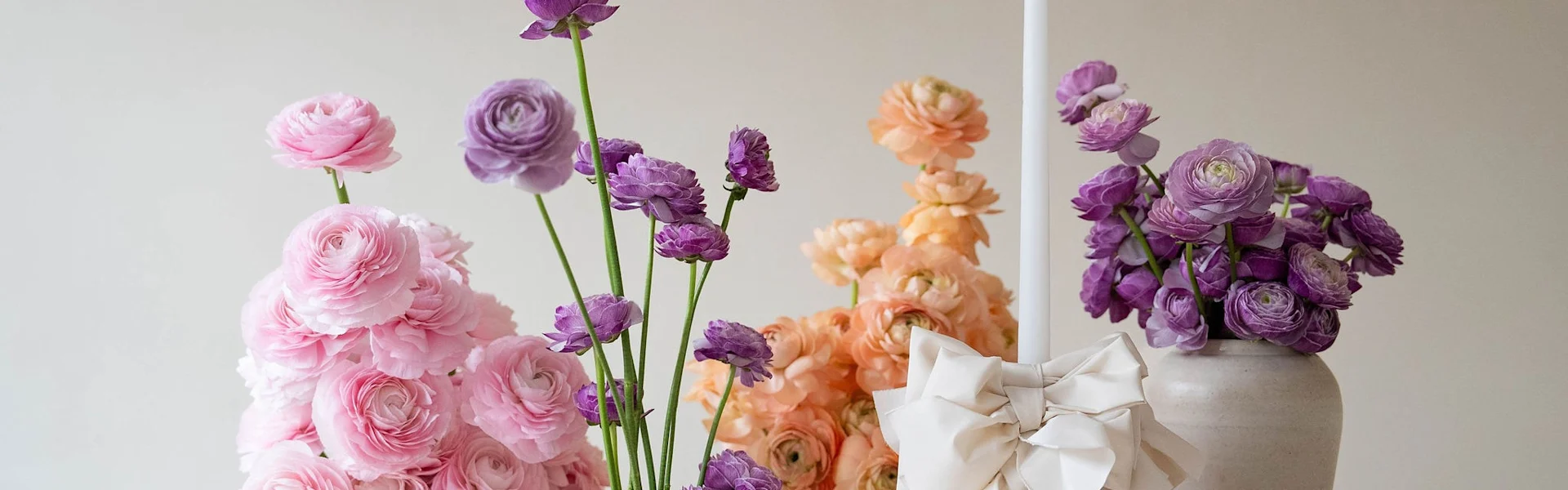 ranunculus and Ribbons