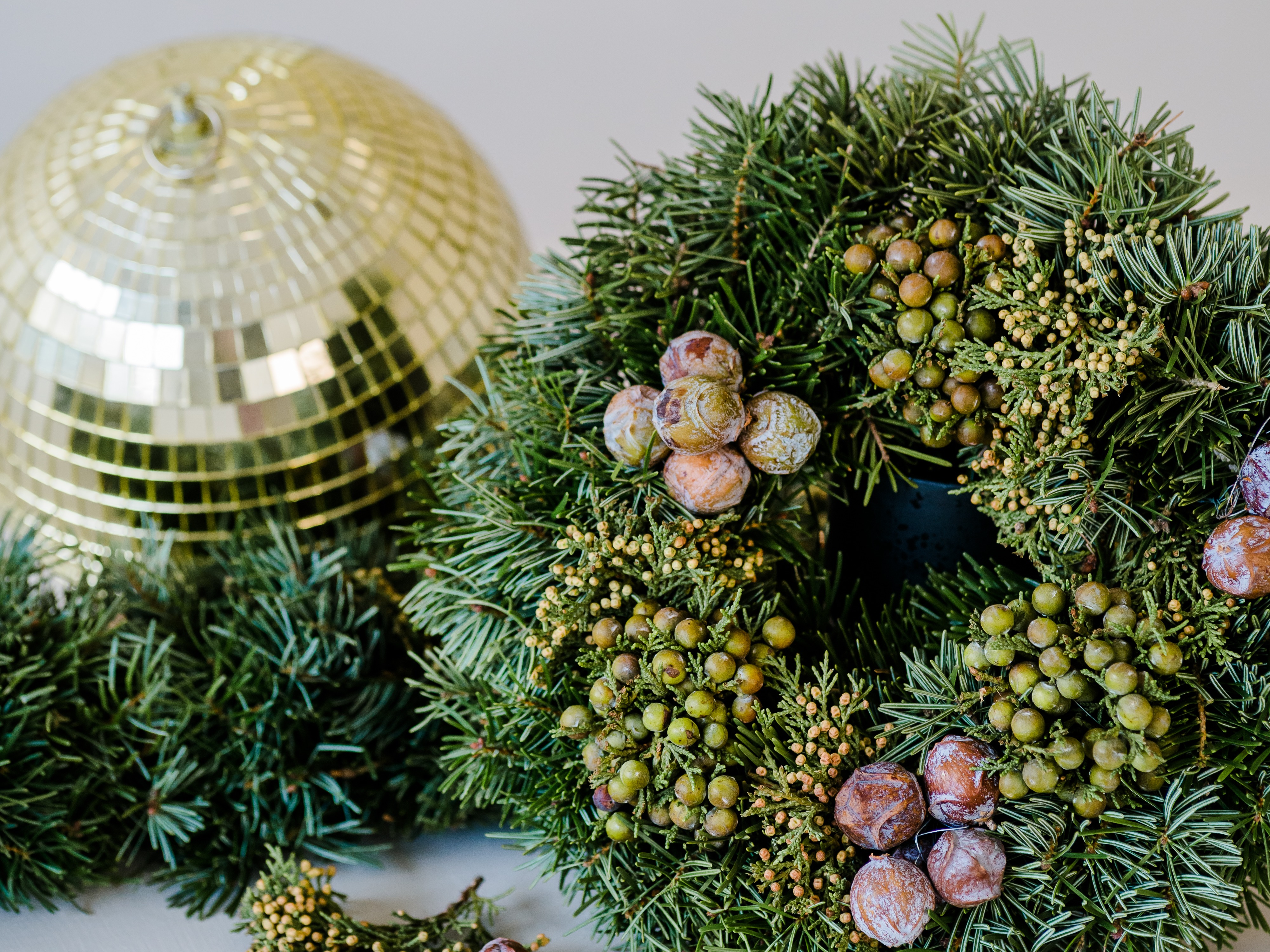 nobilisboom, groen, 23