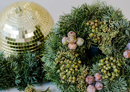 nobilisboom, groen, 23