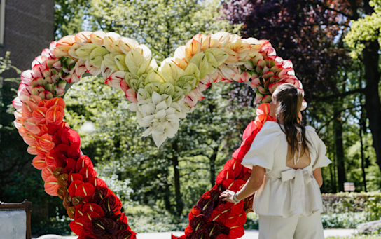imageslider,anthuriums,wedding,2026