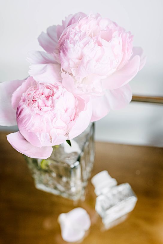 pioenen,roze,pecher,21 (2)