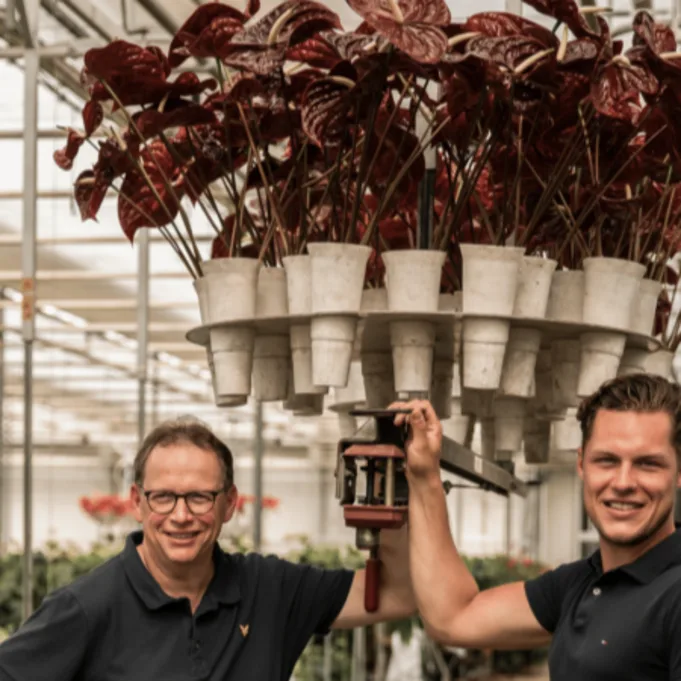 anthurium,rood,23