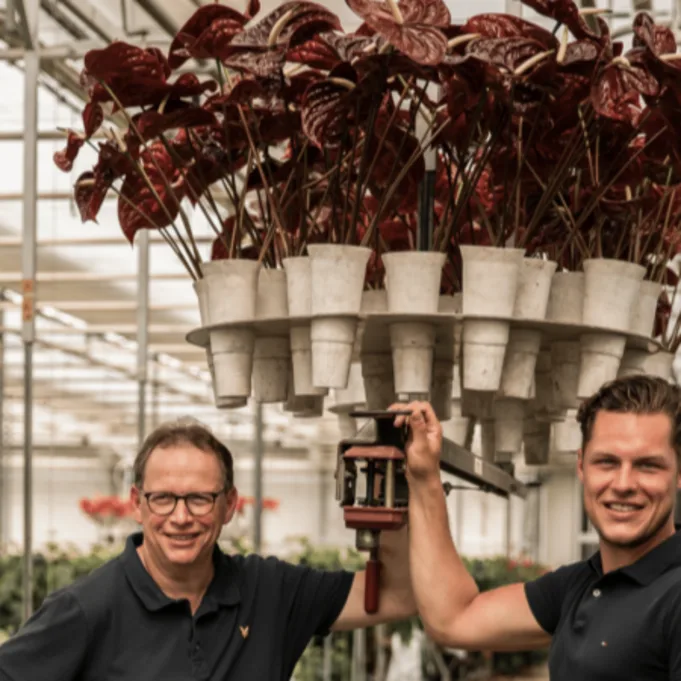 anthurium,rood,23