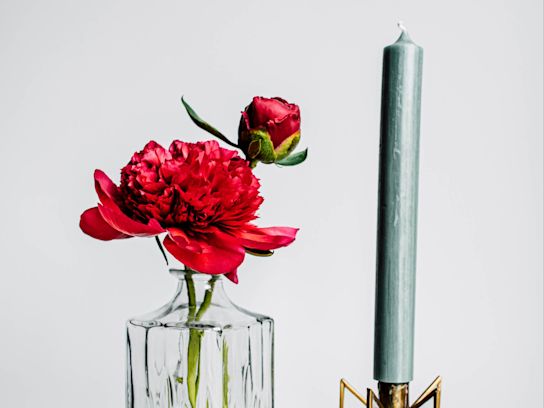 pioenen,rood,belgravia,21 (3)