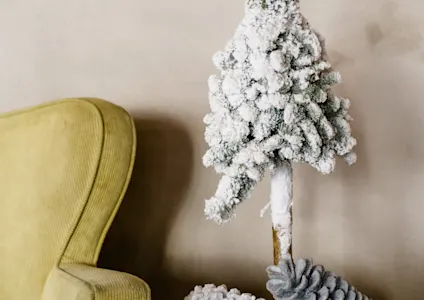 nobilis,groen,22 (12)