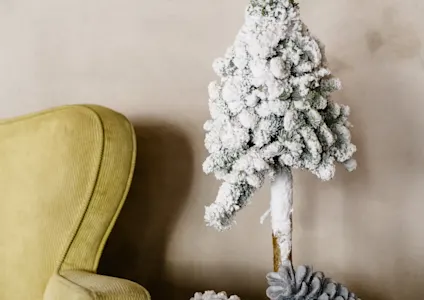 nobilis,groen,22 (12)