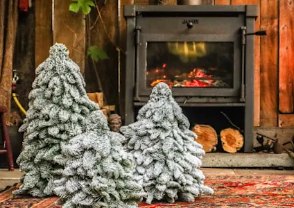 nobilis,wit,winter,2025