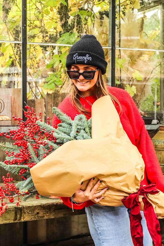 ilex, nobilis, rood, groen,25