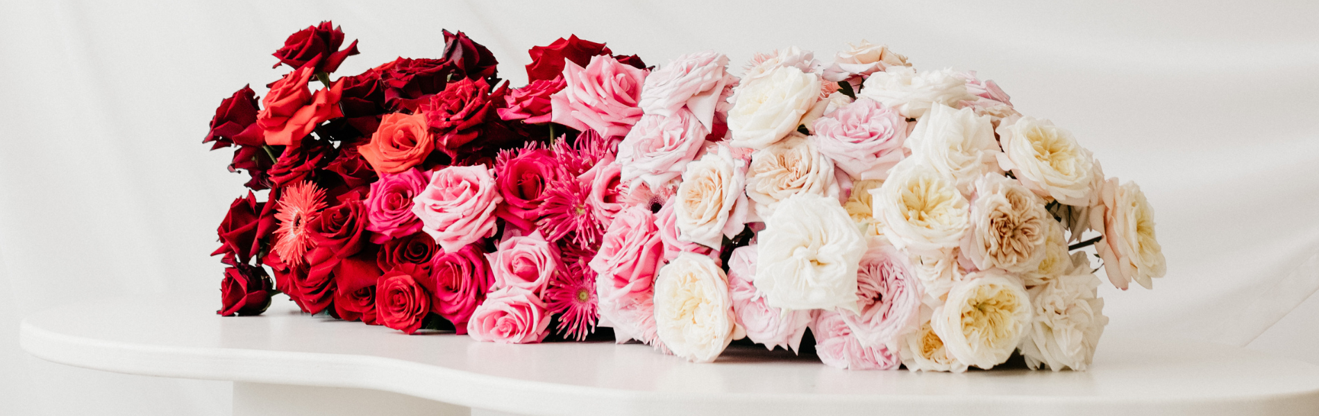 valentine's roses for professionals: