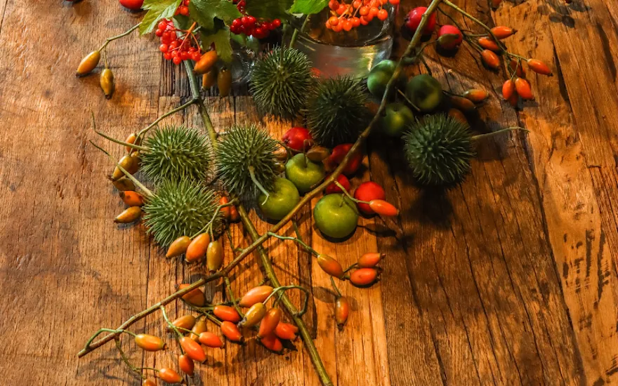rozenbottel,rood,herfst,2025