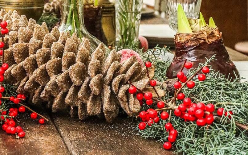 pinea,ilex,kerstgroen,wax,amaryllis