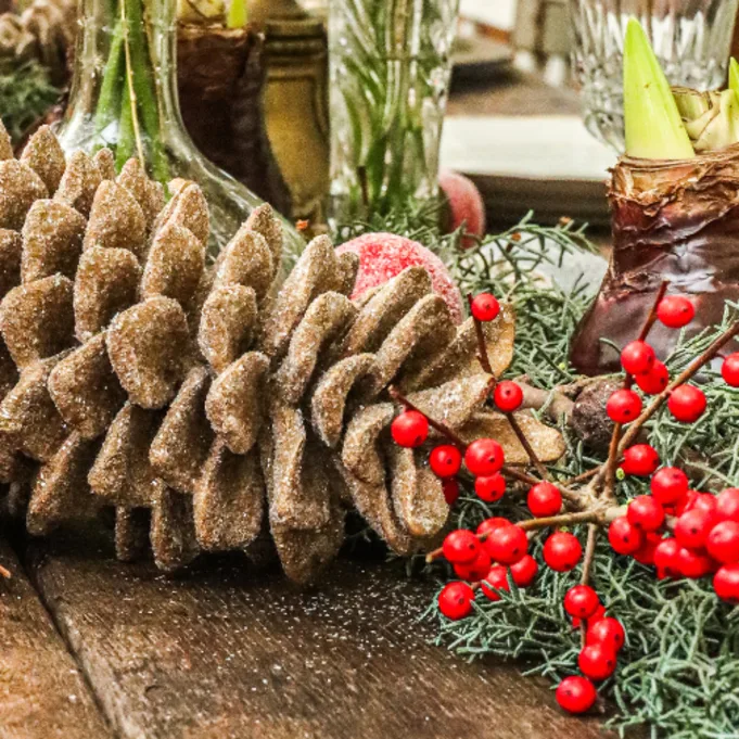 pinea,ilex,kerstgroen,wax,amaryllis