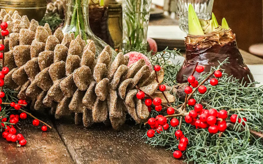 pinea,ilex,kerstgroen,wax,amaryllis