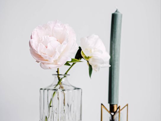 pfingstrose,rosa,motherschoice,21 (1) 