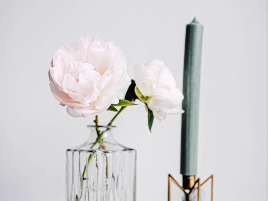 peony,pink,motherschoice,21 (1)