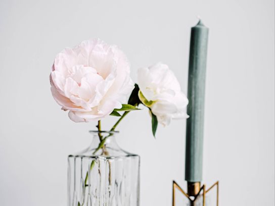 pioen,roze,motherschoice,21 (1)