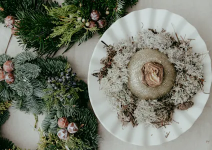 kransen,waxamaryllis,rendiermos,groen,23