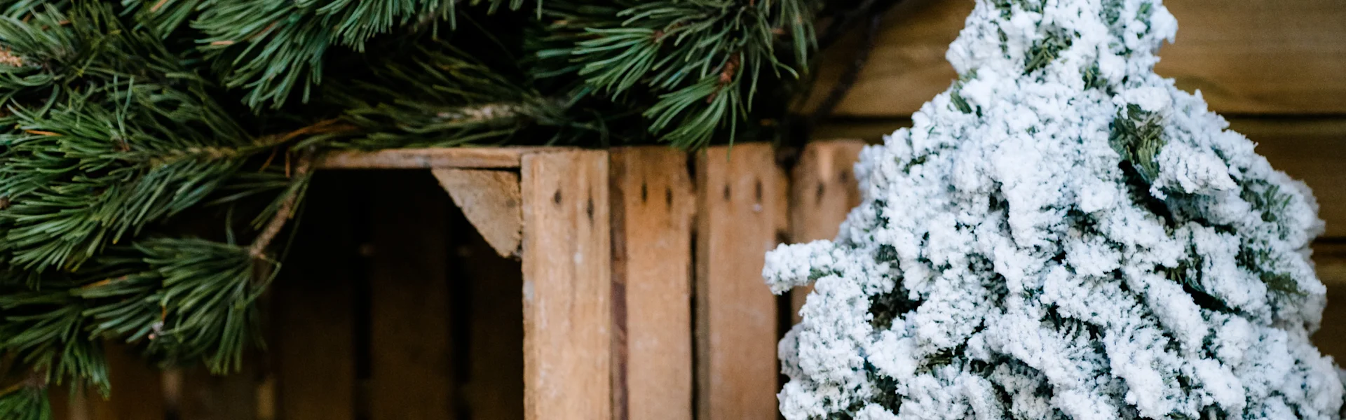 handmade nobilis trees